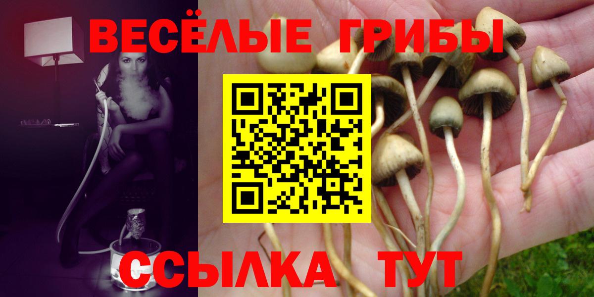 Котовск  Галлюциногенные грибы Psilocybe  Вход с VPN 
