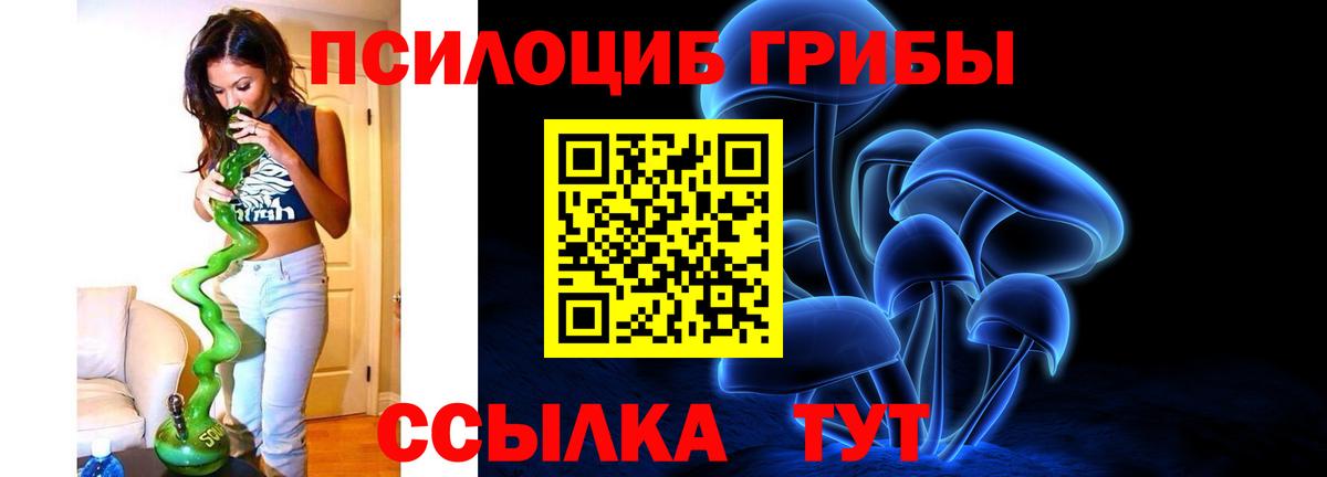 Галлюциногенные грибы Magic Shrooms Котовск